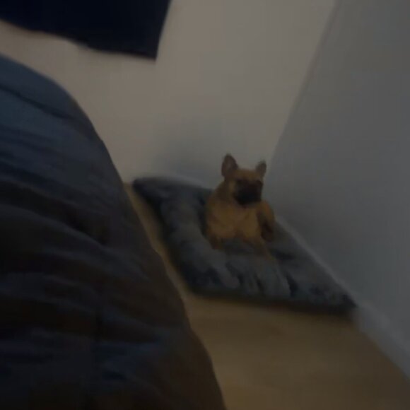 Meet your Posher, Sarah - Picture 9 of 10